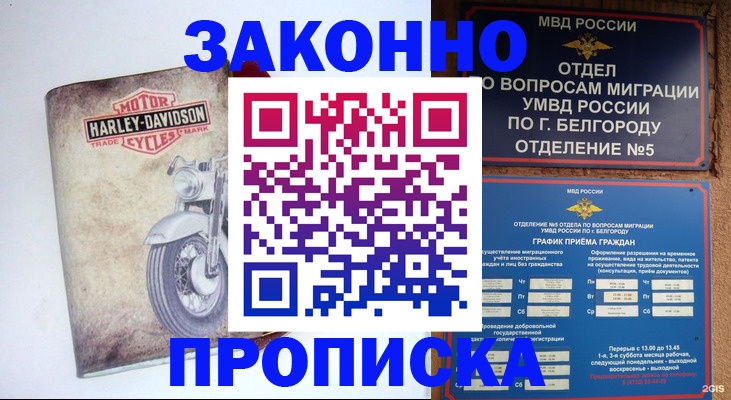 прописка для школы в Могочи